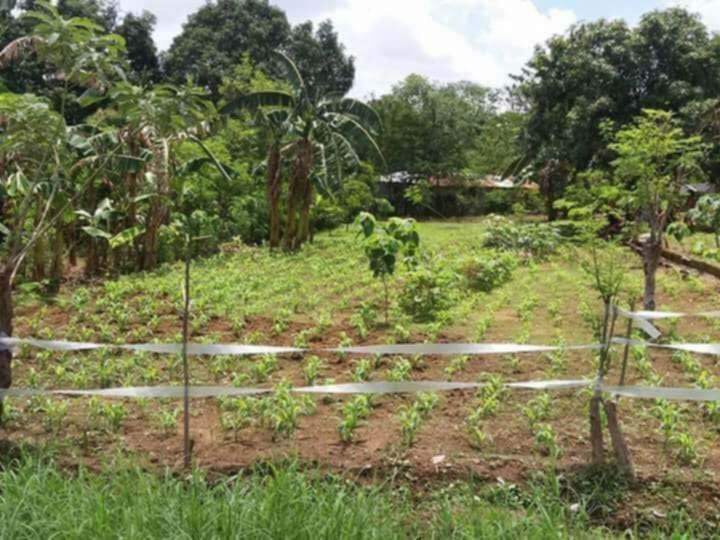 (Category: ) located in . Submitted by 24kmagik (Listing ID 1329009584, Image 1). Description: .