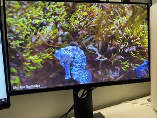 (Category: ) located in . Submitted by shah770 (Listing ID 1328973872, Image 1). Description: .