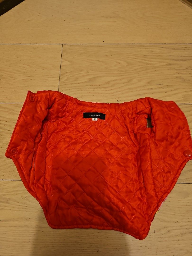 Dog Clothes New Year from Japan, 寵物用品, 寵物家品及其他 Carousell