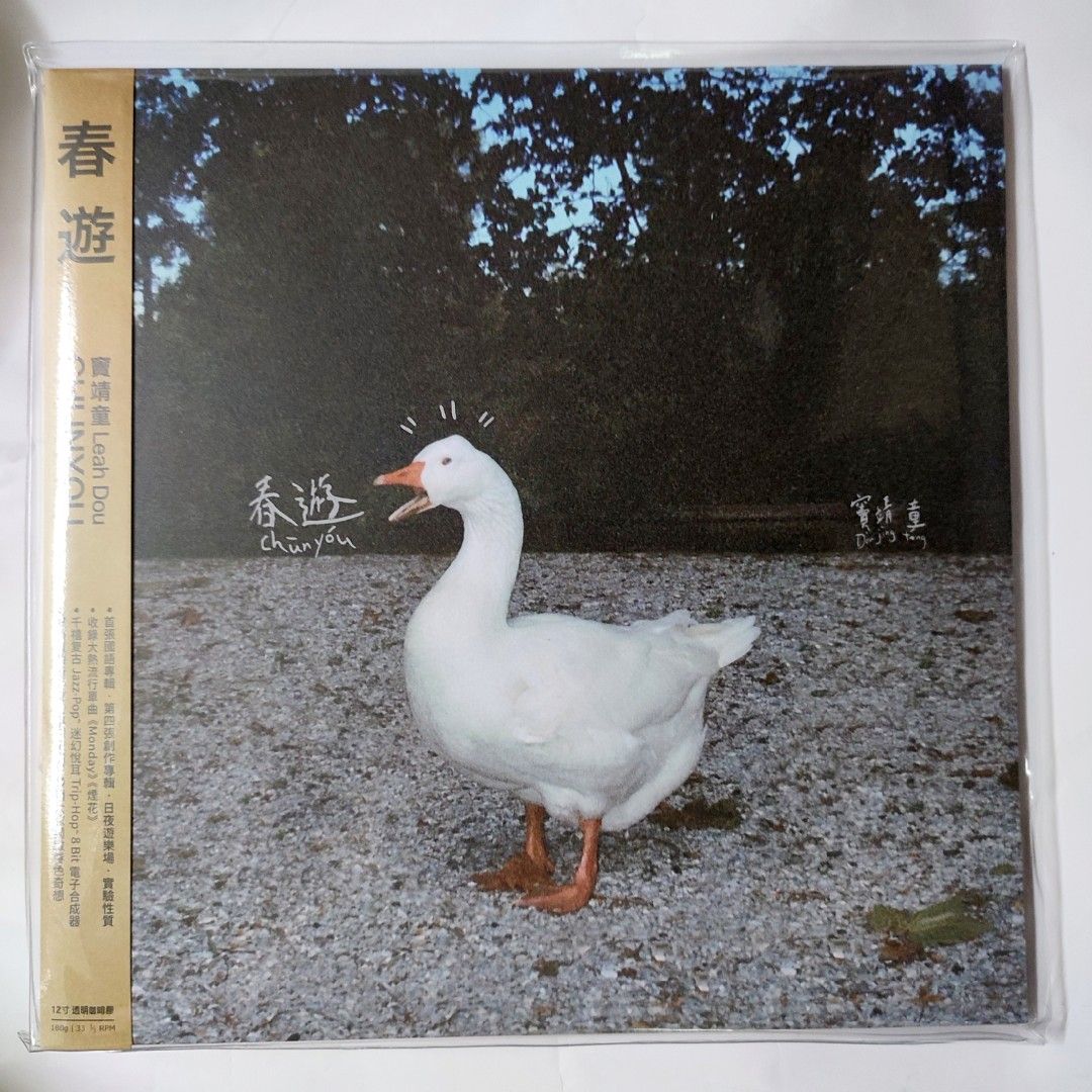 竇靖童Leah Dou 春遊彩膠LP（香港繁體版）CD GSG Mixtape LP 彩膠黑膠
