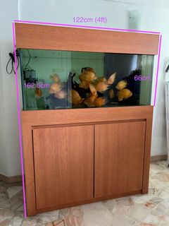(Category: ) located in . Submitted by pinkinblue (Listing ID 1329011882, Image 1). Description: .
