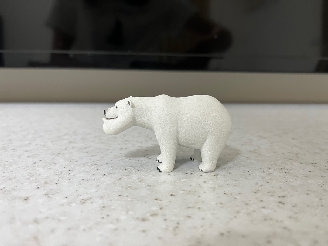 厚道星球 北極熊