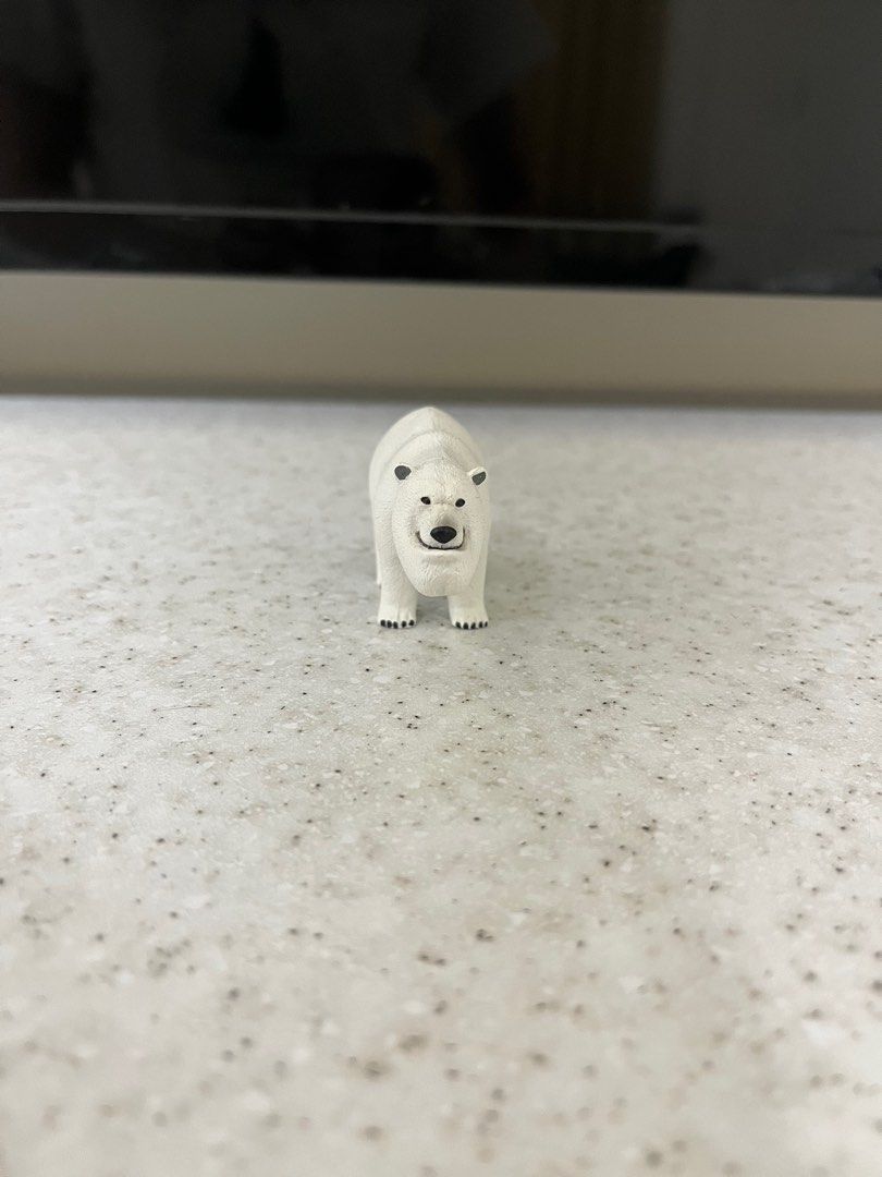 厚道星球 北極熊