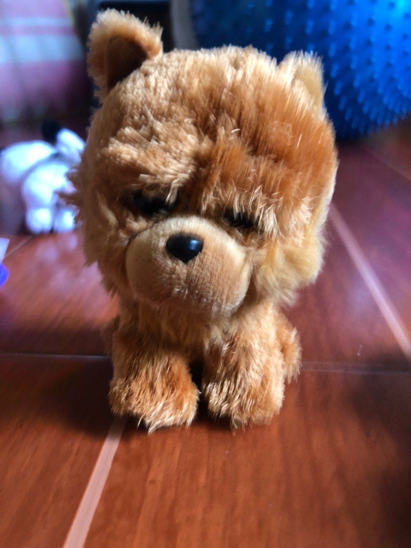 Barley beanie boo sale