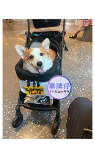 （分類：）位於 。 由 littlecarplate 提交（商品編號 1329431859，圖片 1）。簡介： 。