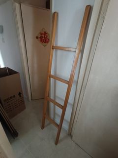 （分類：）位於 。 由 toml. 提交（商品編號 1329353975，圖片 1）。簡介： 。