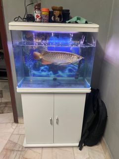 (Category: ) located in . Submitted by afat14 (Listing ID 1329215962, Image 1). Description: .
