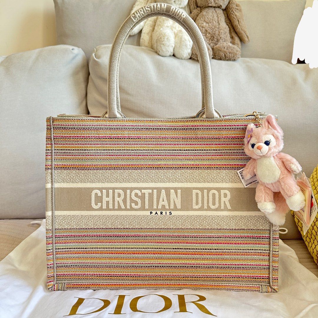 Dior Book Tote Medium Rainbow Carousell