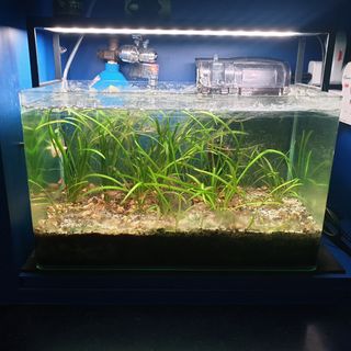 (Category: ) located in . Submitted by abamcleanersg (Listing ID 1329405705, Image 1). Description: .