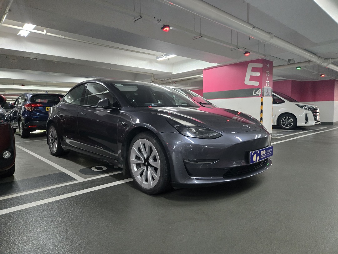 Tesla Model 3 LR Auto628631728729631114