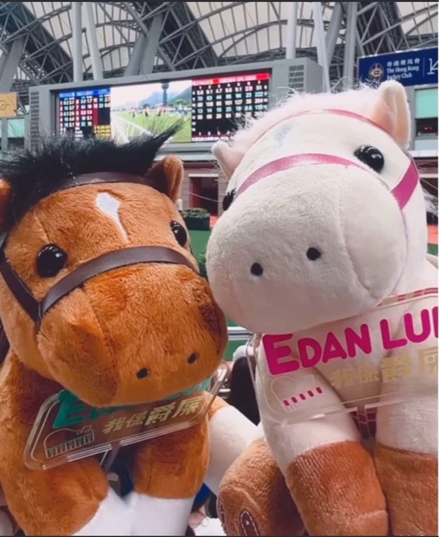 (快閃優惠,一對只售200) 全新 edan 馬仔 馬會 香港賽馬會 馬場有禮 hkjc go racing 馬會 開鑼限定 Edan Lui ...