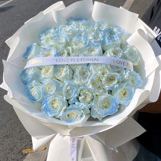 Discount Rose Collection item 3
