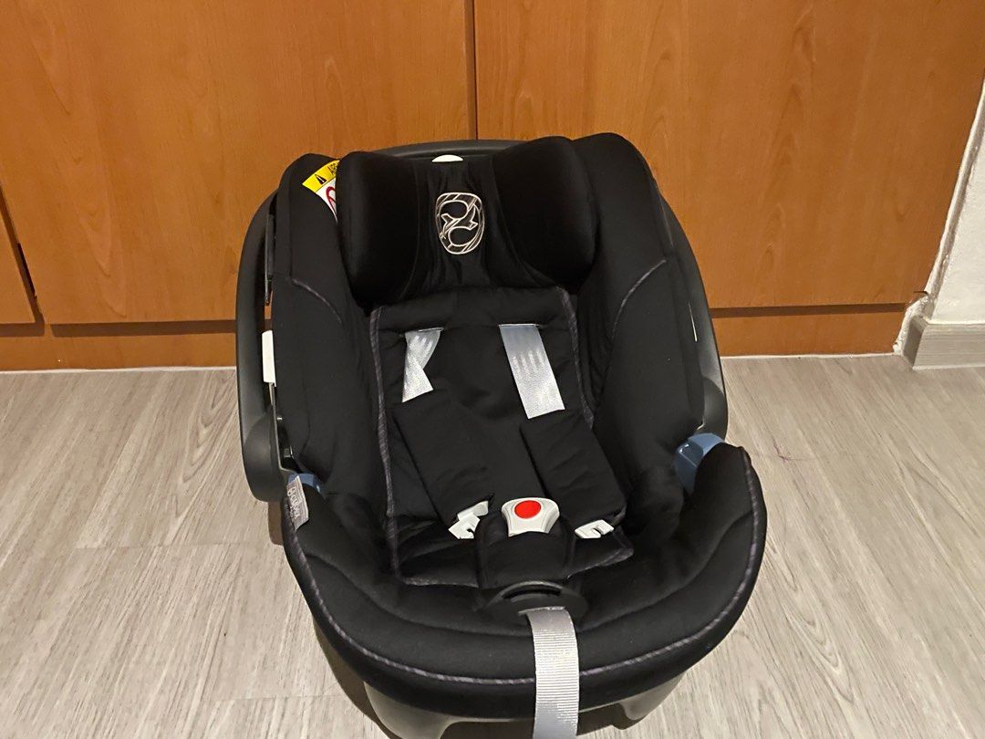 used dog stroller for medium dogs Dog Stroller for Medium Dogs with Ramp