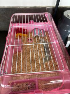 (Category: ) located in . Submitted by izzah_nino (Listing ID 1329521387, Image 1). Description: .