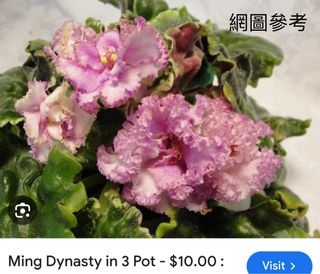 （分類：）位於 。 由 sellring 提交（商品編號 1329495436，圖片 1）。簡介： 。