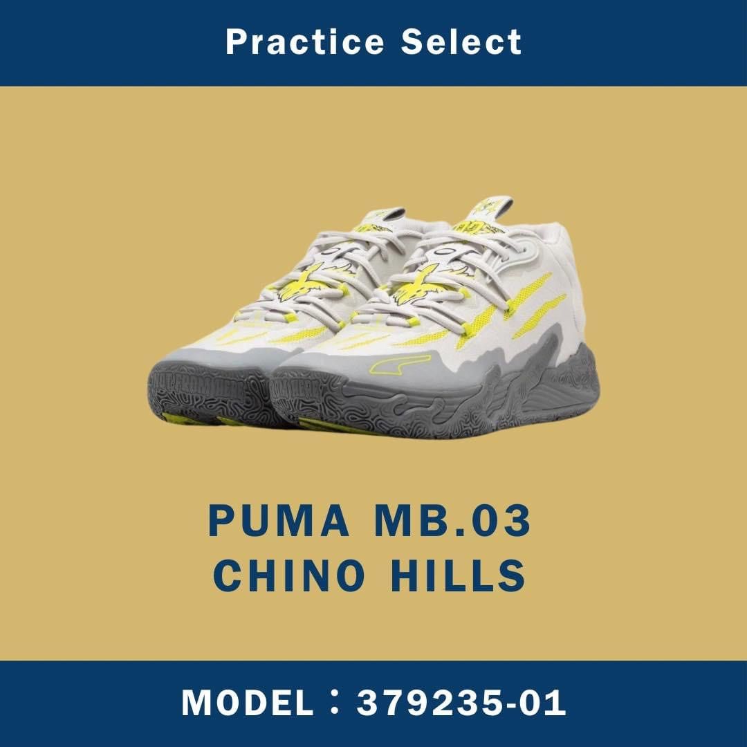 台灣商家】PUMA CHINO HILLS 379235-01, 他的時尚, 鞋類, 運動鞋
