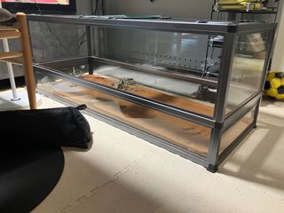（分類：）位於 。 由 scubacat 提交（商品編號 1329607735，圖片 1）。簡介： 。