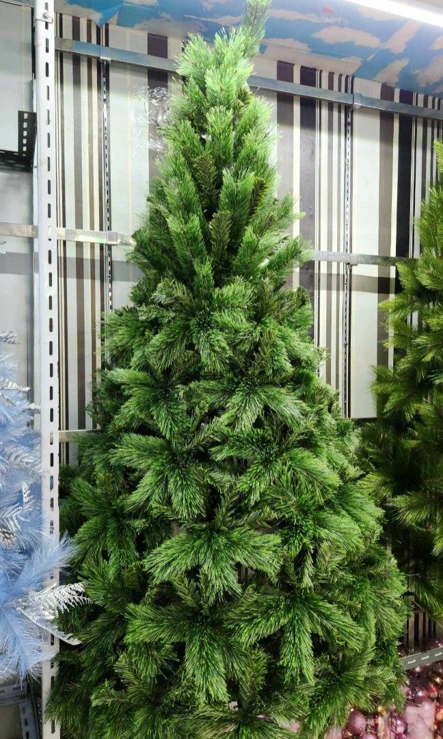 2 leaves sugar/vinyl combination Christmas tree (Category: Artificial Plants & Flowers) located in Manila. Submitted by jamesgani08 (Listing ID 1329665206, Image 2). Description: .