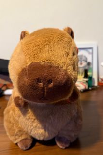 (Category: ) located in . Submitted by brynntan (Listing ID 1329802337, Image 1). Description: .