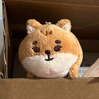 （分類：）位於 。 由 ccclk 提交（商品編號 1329757158，圖片 1）。簡介： 。