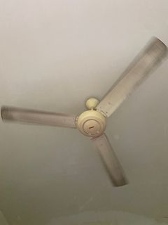 (Category: ) located in . Submitted by freyashaari (Listing ID 1329692787, Image 1). Description: .
