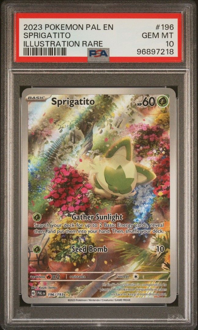 PSA 10 SPRIGATITO ILLUSTRATION RARE PALDEA EVOLVED POKEMON TCG