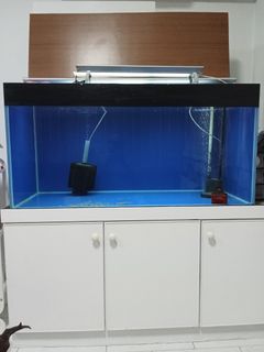 (Category: ) located in . Submitted by yu.noguchi (Listing ID 1329769432, Image 1). Description: .