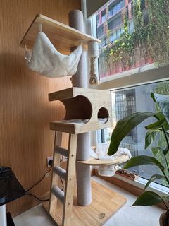 (Category: ) located in . Submitted by 349921189 (Listing ID 1329844384, Image 1). Description: .