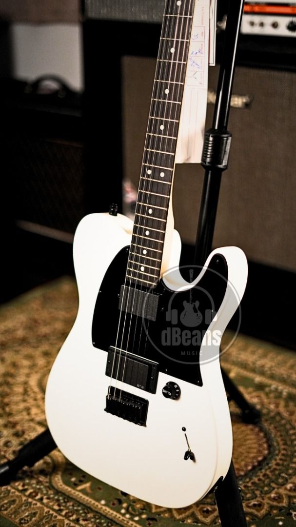 FENDER JIM ROOT TELECASTER (DISCONTINUED SIGNATURE MODEL), Hobbies