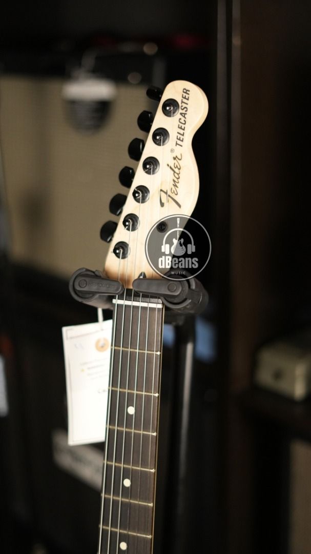 FENDER JIM ROOT TELECASTER (DISCONTINUED SIGNATURE MODEL), Hobbies