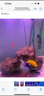 (Category: ) located in . Submitted by livetradr (Listing ID 1329865668, Image 1). Description: .