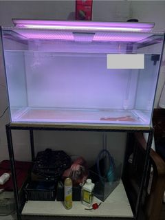 (Category: ) located in . Submitted by nicoolew (Listing ID 1333985535, Image 1). Description: .