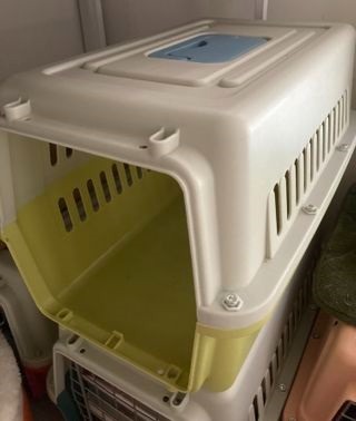 （分類：）位於 。 由 snacks_store 提交（商品編號 1333902440，圖片 1）。簡介： 。
