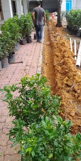 (Category: ) located in . Submitted by lawnspecialist (Listing ID 1333896304, Image 1). Description: .