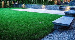 (Category: ) located in . Submitted by lawnspecialist (Listing ID 1333895467, Image 1). Description: .