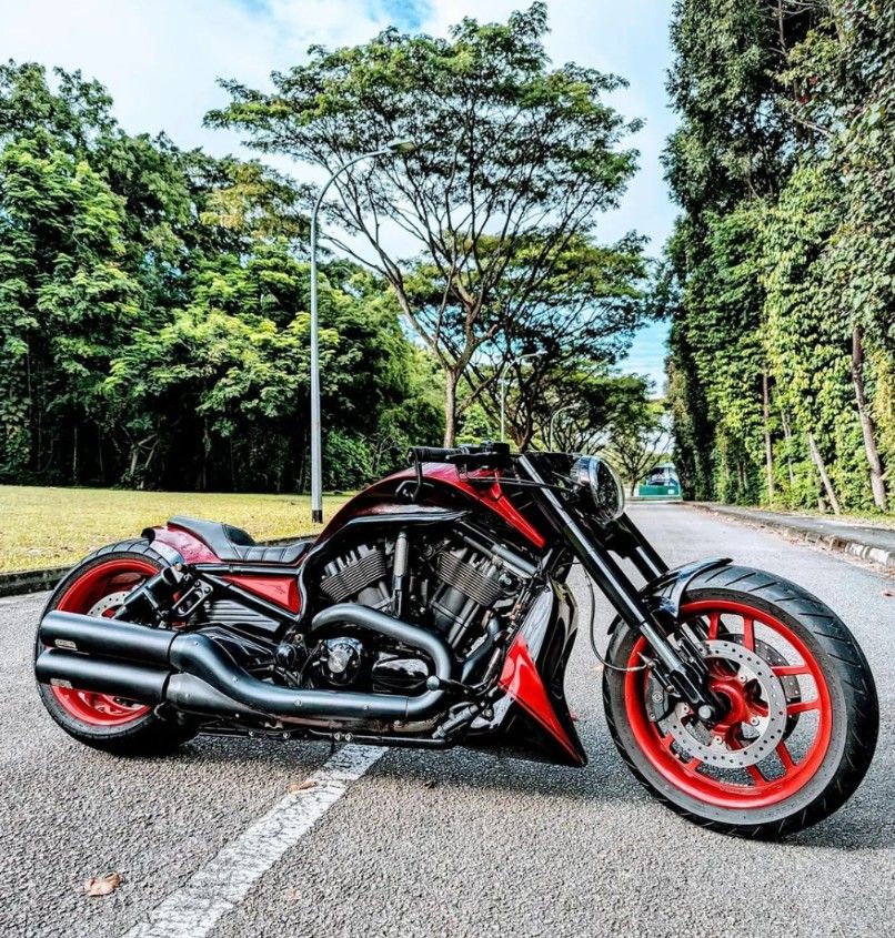 Harley Vrod Night Rod Special Motorcycles Motorcycles for Sale Class 2 on Carousell