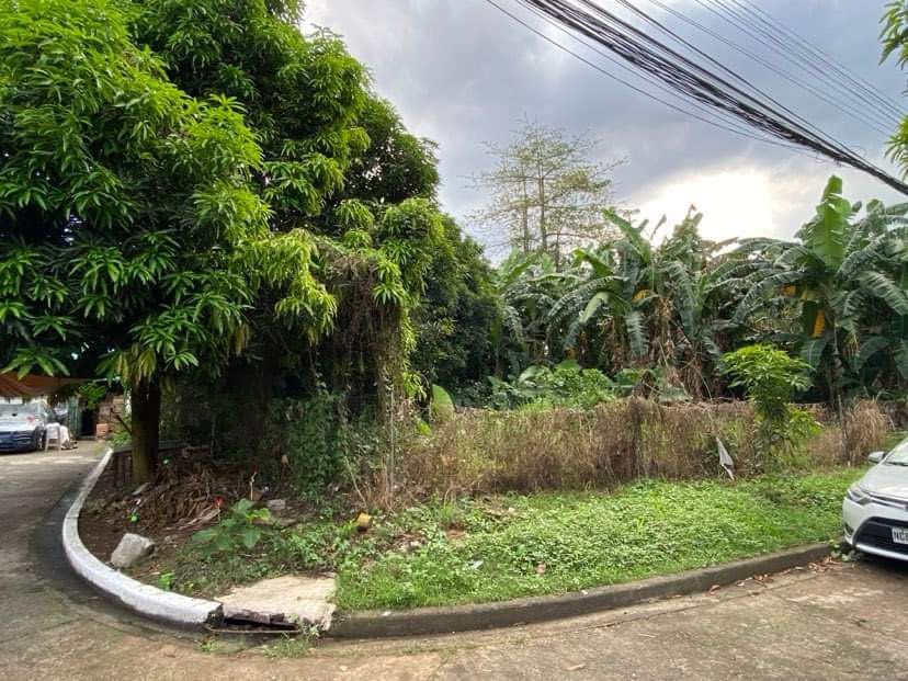 Lot for Sale (Category: Lot) located in Caloocan City. Submitted by thlyn (Listing ID 1333927146, Image 2). Description: LOT FOR SALE LILLESVILLE SUBDIVISION, NORTH CALOOCAN CITY 500sqm Landmark: In front of North Caloocan City Hall. 1 block away sa gate 2. Clean Titles & Updated Amilyar Price: 12M all in. (Slight negotiable if sure buyer) Pm for more details..