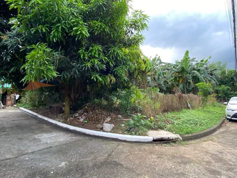 Lot for Sale (Category: Lot) located in Caloocan City. Submitted by thlyn (Listing ID 1333927146, Image 1). Description: LOT FOR SALE LILLESVILLE SUBDIVISION, NORTH CALOOCAN CITY 500sqm Landmark: In front of North Caloocan City Hall. 1 block away sa gate 2. Clean Titles & Updated Amilyar Price: 12M all in. (Slight negotiable if sure buyer) Pm for more details..
