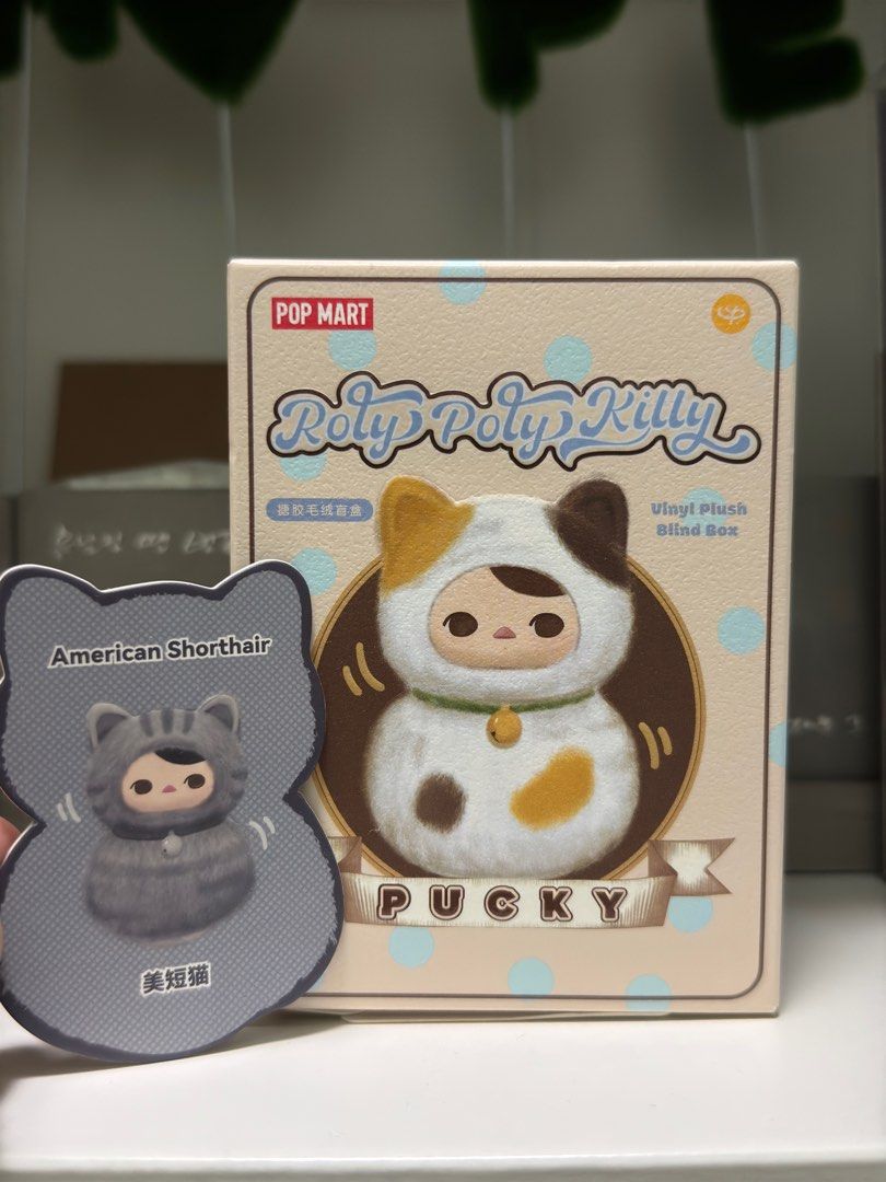 ROLY POLY KITTY AMERICAN SHORTHAIR (Category: Designer & Blind Box Toys) located in Manila. Submitted by jeannma (Listing ID 1333966015, Image 1). Description: SEALED FOIL OPENED BOTTOM.