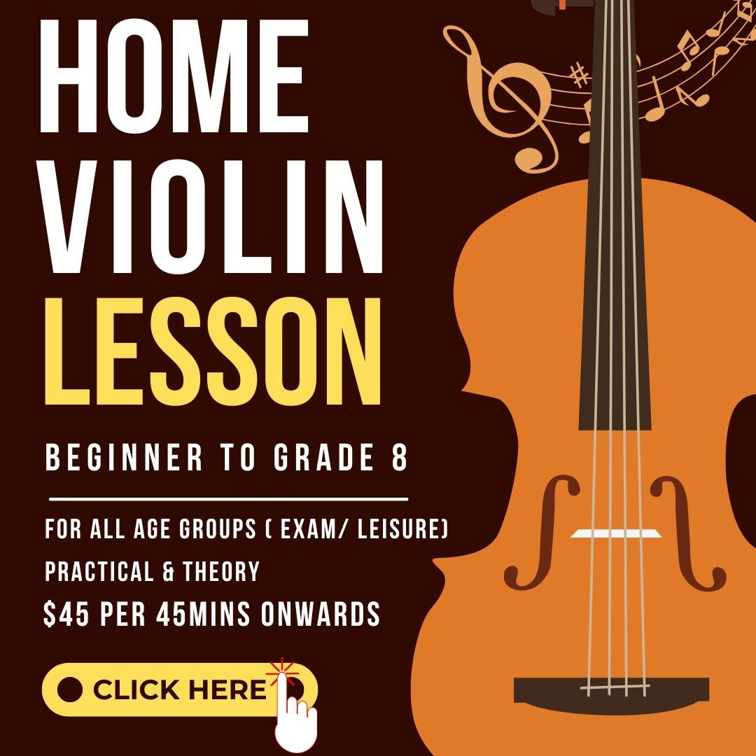 Violin Instructor | Private Violin Lesson | One to One Home Violin ...