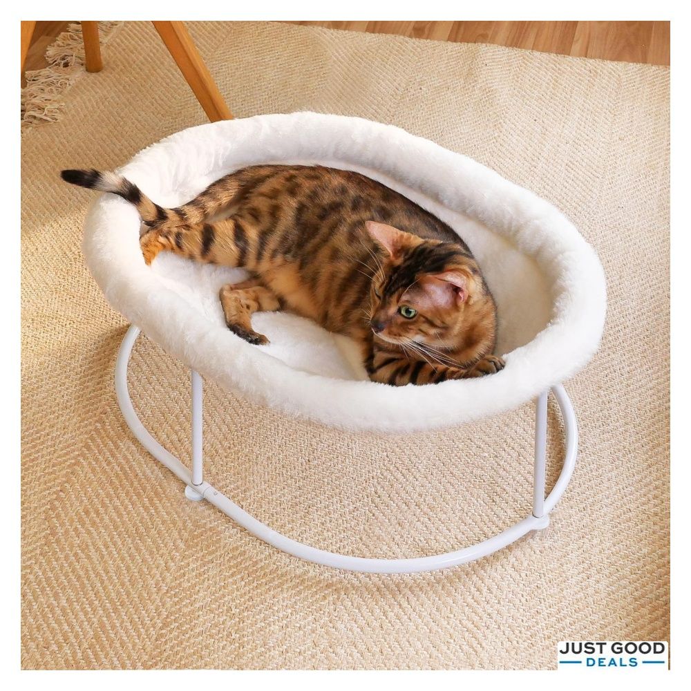 Zoratoo Elevated Cat Hammock Bed for Indoor Cats Fluffy Warm Cuddle Cat Bed with Detachable Pad Bed Cover Raised Pet Bed Cuddler for Sleeping Kittens Small Dog Oval Cat Hammock Cat Hammock