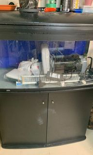 (Category: ) located in . Submitted by min2min (Listing ID 1335420746, Image 1). Description: .