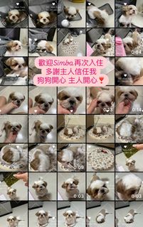 （分類：）位於 。 由 manyuenl 提交（商品編號 1335519645，圖片 1）。簡介： 。