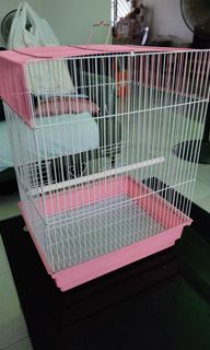 (Category: ) located in . Submitted by tangimkang (Listing ID 1335514355, Image 1). Description: .