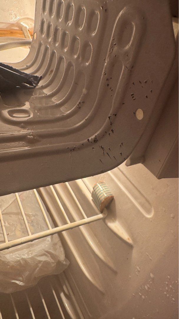 LG PERSONAL REF (DEFECTIVE) (Category: Other Kitchen Appliances) located in Manila. Submitted by ezrahfayep48251 (Listing ID 1335599197, Image 2). Description: LF: Seller who buys defective ref Name your price. Issue: Hole in freezer.