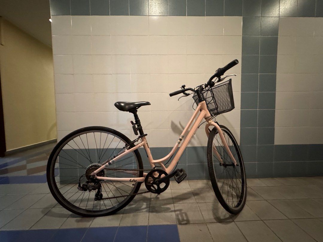 Liv bicycle with basket