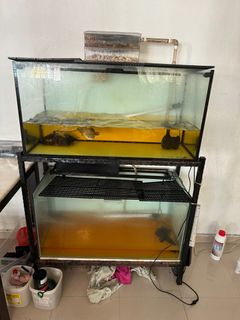 (Category: ) located in . Submitted by guccibosco (Listing ID 1335661467, Image 1). Description: .