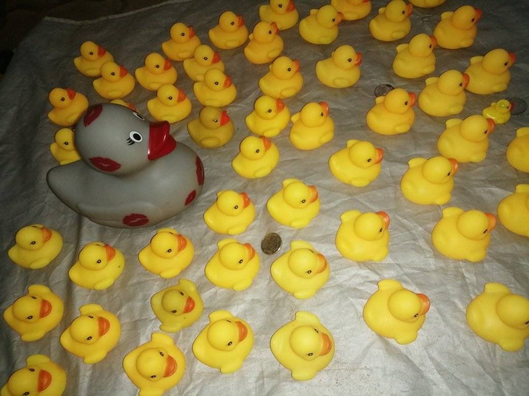 Ducky Day Set Sale (Category: Computer Keyboard) located in Los Banos. Submitted by princessbotique (Listing ID 1335719912, Image 2). Description: Ducky Day Set Sale Take all 57 pcs Only Php 300 Loose As is See pix for details First come First Serve Please add shipping fee From Los Banos Laguna Meetups per arrangement MOP GCash first to pay basis No reservations No COD No checkout Pm if interested Please Like and Follow.