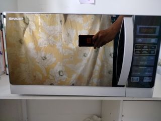 (Category: ) located in . Submitted by apizglocal (Listing ID 1335611946, Image 1). Description: .