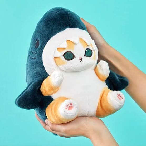 Mofusand shark kitten plushie (Category: Plushies & Soft Toys) located in Caloocan City. Submitted by 1198_carts (Listing ID 1335615773, Image 1). Description: ORIGINAL AND OFFICIAL MOFUSAND SHARK KITTEN PLUSHIE ! BRAND NEW RFS: NEED MONEY MESSAGE ME FOR MORE PICS can lower pa po pls.
